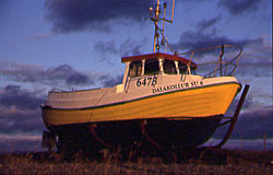 0f28bf93a249bdfe6d4471e4f835fd40.jpg