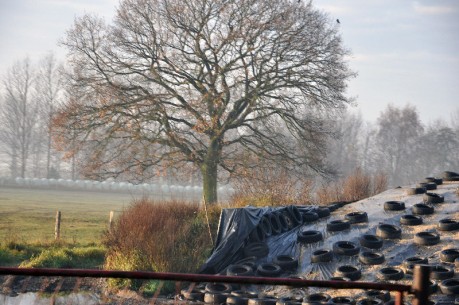 Winterreifen