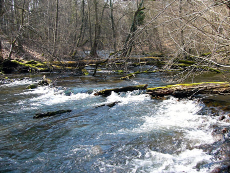 nebeltal-460.jpg