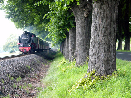 allee-mit-molli.jpg