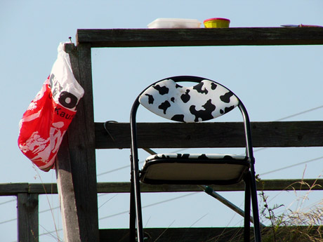 stilleben-auf-der-divitzer-brucke.jpg