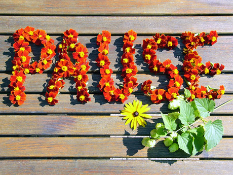 pause-460.jpg