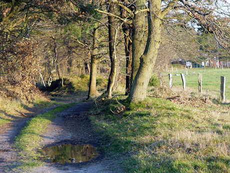 borner-weg.jpg