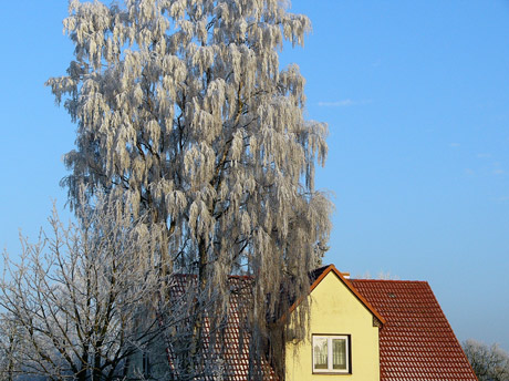 der-brink-2.jpg