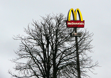 mc-und-baum.jpg