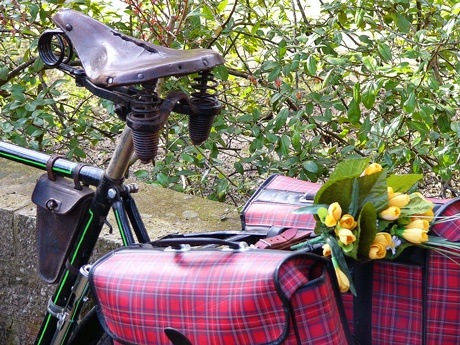 fahrradsattel-460.jpg