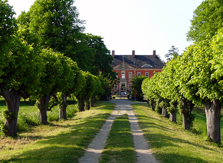 bothmer-mit-festonallee-460.jpg