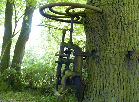 maschine-an-eiche-460.jpg