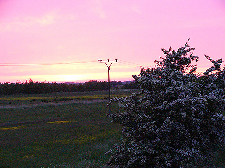 stimmung-an-der-meiningenbr.jpg