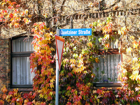 weinlaub-460