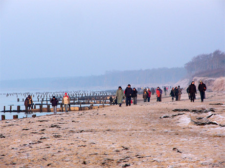 strandwanderer-460