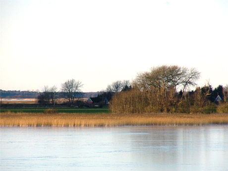 barthe460