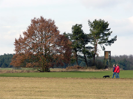 frauen-mit-hund-460