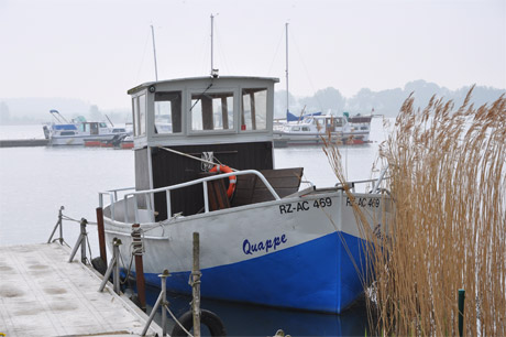 morgen-mueritz460