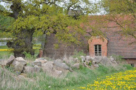 ulrichshusen-2