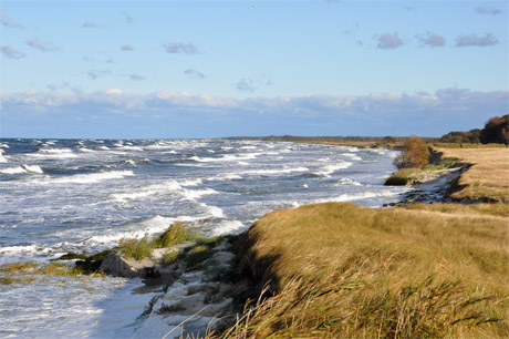 Ostzingst