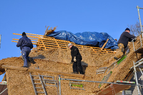 dachdecker