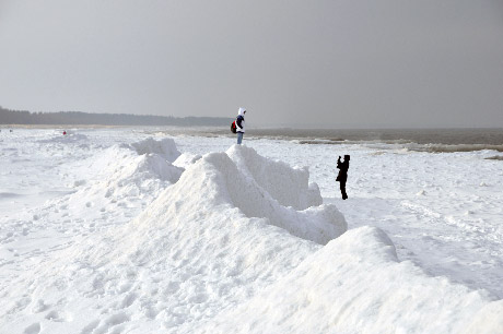 Zingst-1