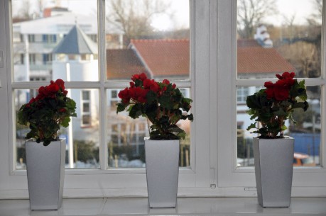 Durchblick