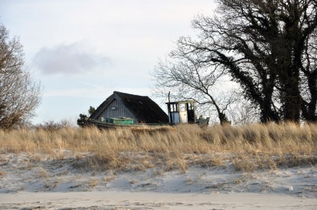 Zingst