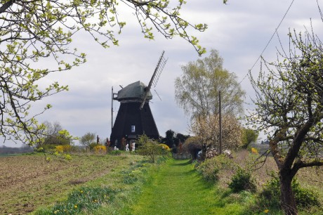 Mühle-Dambeck