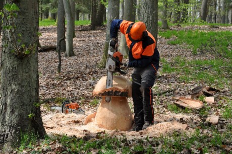 Pilz