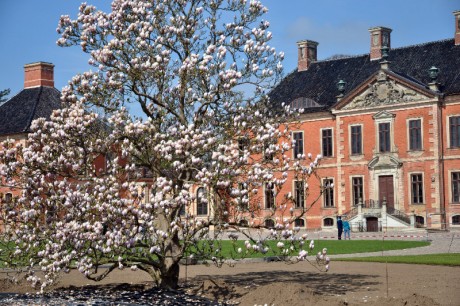 Bothmer