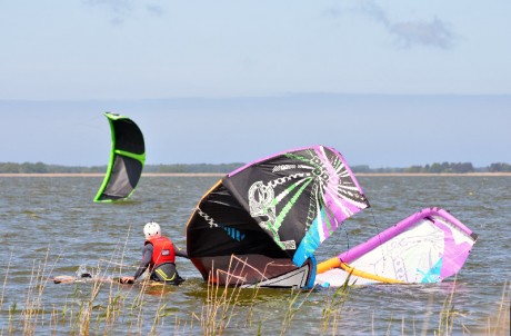 Kite