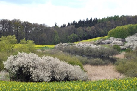 Mecklenburg