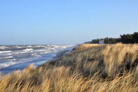 strand