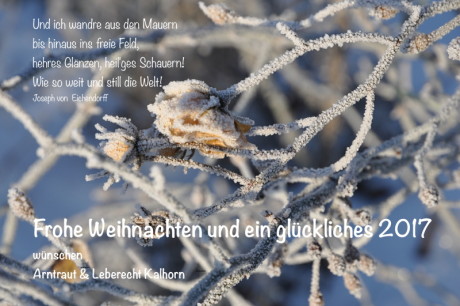 weihnachten16website
