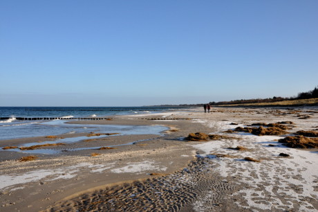 Strand 14.1.17