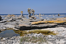 gotland.jpg