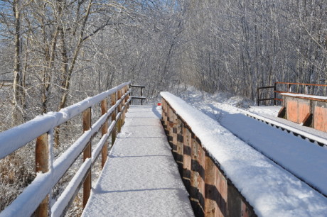 Brücke